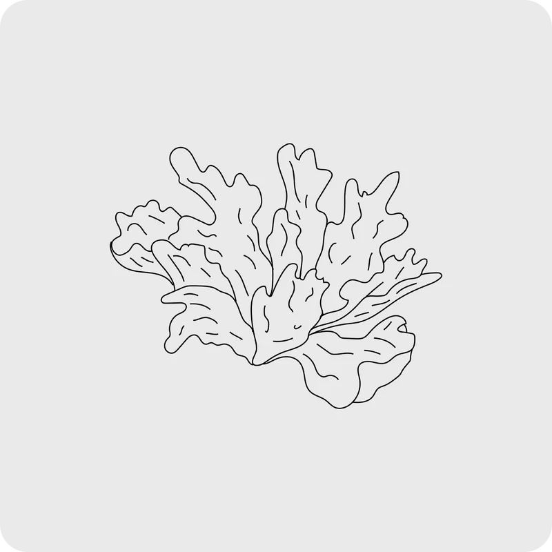 feature-item-3