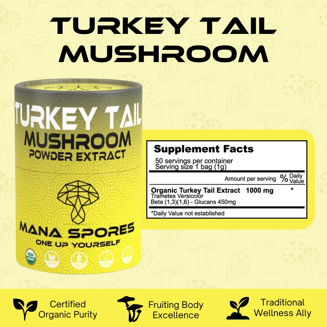 Organic Turkey Tail Mushroom Powder Extract